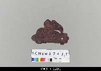 藏品(中國湖北皮影戲盔帽)的圖片